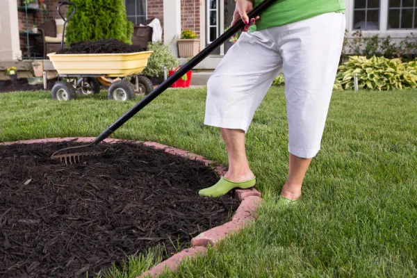 How Long Does Mulch Last in Westminster, CO