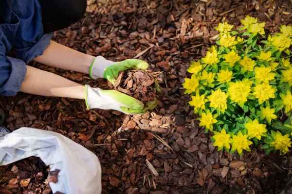 How Long Does Mulch Last in Westminster, CO