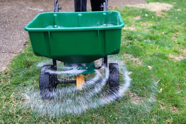 How often should you fertilize your lawn in Westminster, CO