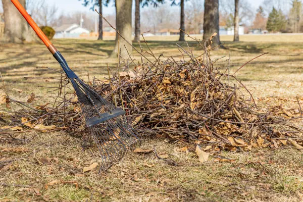 How to Clean a Backyard in Westminster, CO