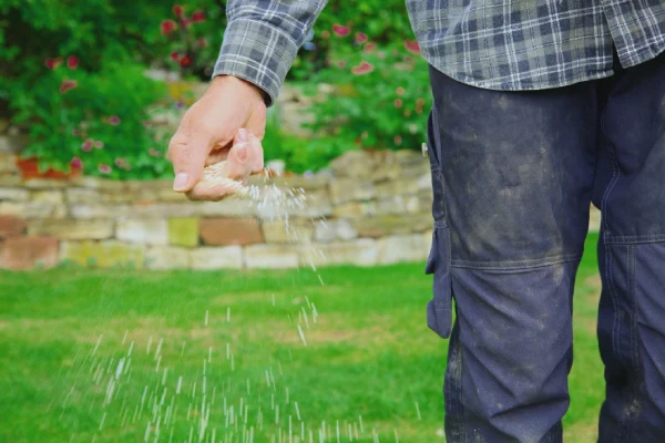 When is the best time to fertilize your lawn in Westminster, CO